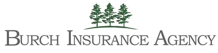 Logo-Burch-Insurance
