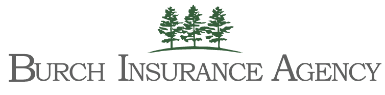 Logo-Burch-Insurance